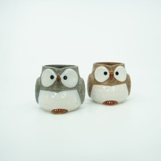 Owl Pair Mug Cup