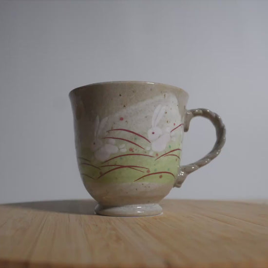 LeapingJumpingRabbitMug_Video