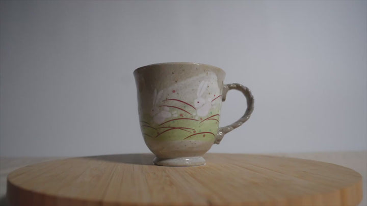LeapingJumpingRabbitMug_Video